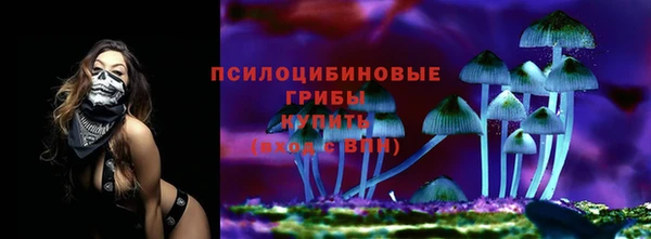 СК Осташков