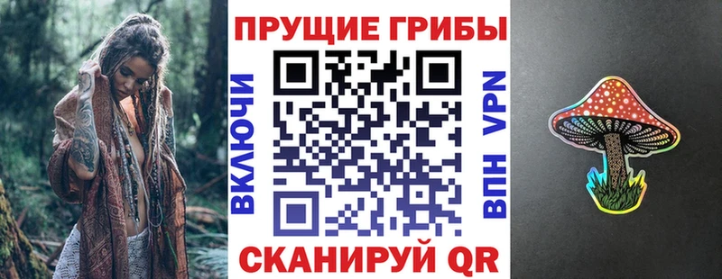 купить наркотик  Владикавказ  Псилоцибиновые грибы мицелий 