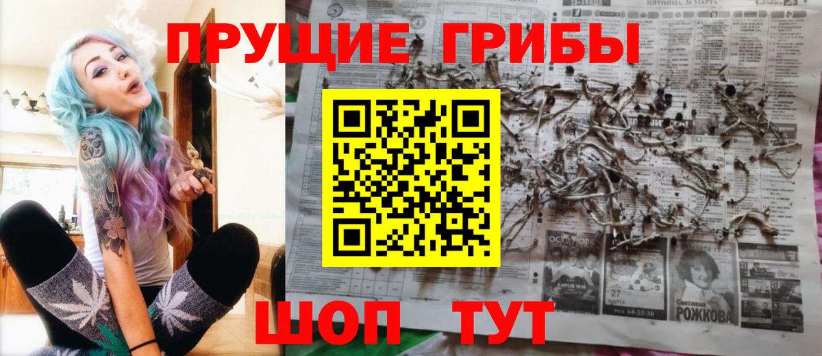 Галлюциногенные грибы Psilocybine cubensis Владикавказ