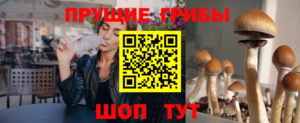 Владикавказ  Псилоцибиновые грибы мухоморы  Вход с VPN 